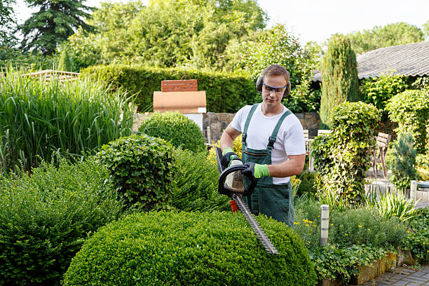 Best Commercial Tree Services  in Home Garden, CA